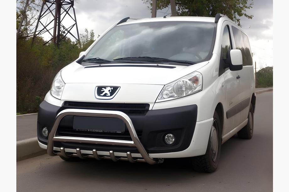 Citroen Jumpy 2007–2017 Bull Bar WT003 (Stainless Steel) Image