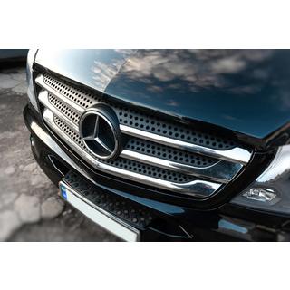 Chrome Grille Covers (2013↗, Stainless Steel) photo 4