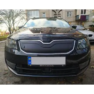 Winter grille cover (2013-2017)