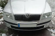 Skoda Octavia II A5 2006-2010 Winter grille cover (upper) photo 1