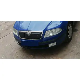 Winter grille cover (upper) photo 3