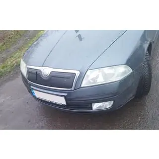Winter grille cover (upper) photo 2