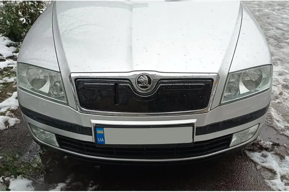 Skoda Octavia II A5 2006-2010 Winter grille cover (upper) Image