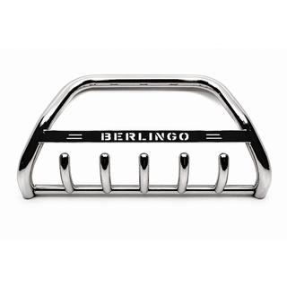 Bull Bar WT004 (Stainless Steel) photo 2
