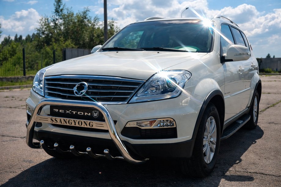 SsangYong Rexton I 2001-2017 Bull Bar WT004 Stainless Steel Image