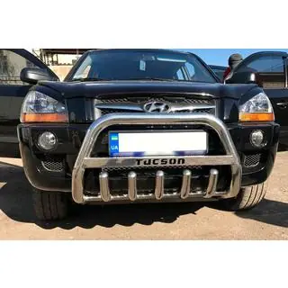 Bull Bar WT004 (Stainless Steel)