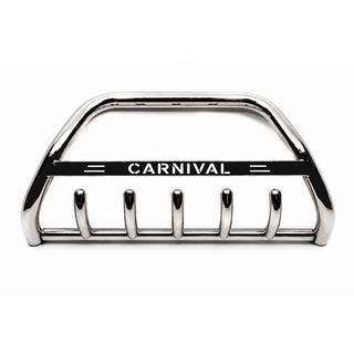 Bull Bar WT004 Stainless Steel photo 4