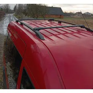 Black Roof Rails photo 1