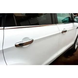 Chrome Door Handle Covers (4 pcs, Stainless Steel) photo 2