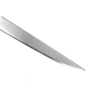 Trunk trim stainless steel photo 4