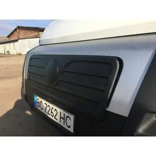 Winter grille (2006-2014) photo 4