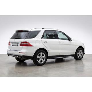 Side Steps Duru (2 pcs, Aluminum) Mercedes GLE/ML class W166 2011-2018 photo 1