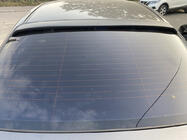 Chevrolet Aveo T250 2005-2011 Rear visor (ABS plastic) Matte photo 2