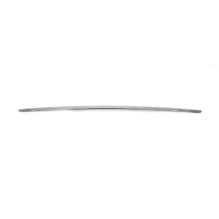 Chrome trim above license plate (stainless steel) photo 3