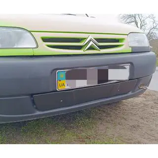 Winter grille (1996-2003) photo 2
