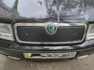 Skoda Octavia I Tour A4 1996-2010 Winter grille (upper) photo 2