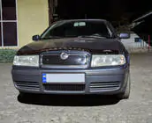 Skoda Octavia I Tour A4 1996-2010 Winter grille (upper) photo 6