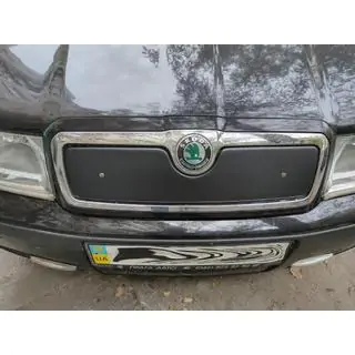 Winter grille (upper) photo 2
