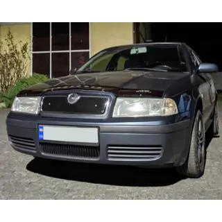 Winter grille (upper) photo 3