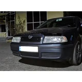 Winter grille (upper) photo 4