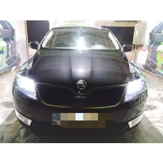 Winter grille (upper) Skoda Rapid 2012-2019 photo 1