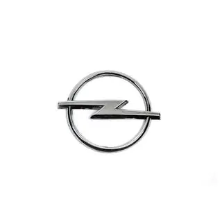 Grille Badge B-Grade (Diameter 95mm) photo 2