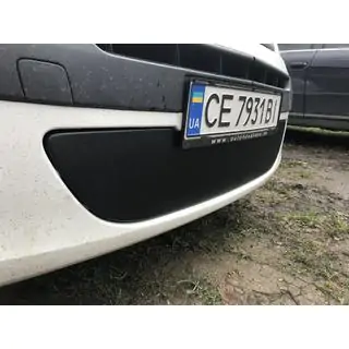 Winter lower grille (2008-2013) Renault Kangoo 2008–2020 photo 2