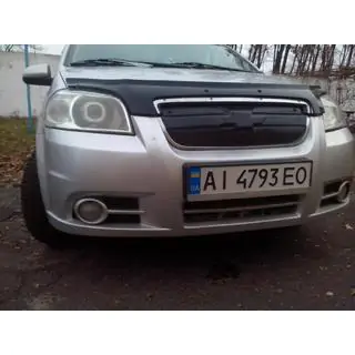 Winter grille Chevrolet Aveo T250 2005-2011 photo 2