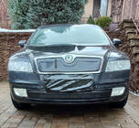 Skoda Octavia II A5 2006-2010 Winter cover for grille (lower) photo 1