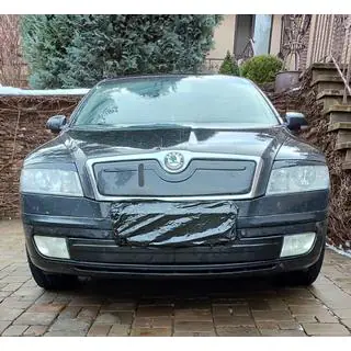 Winter cover for grille (lower)