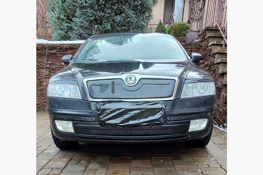 Skoda Octavia II A5 2006-2010 Winter cover for grille (lower) Image