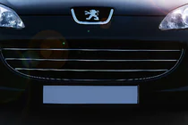 Peugeot 407 2004-2011 Chrome Grille Covers (3 pcs, Stainless Steel) photo 1