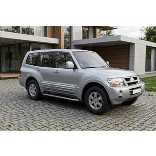Side Steps Maydos V1 (2 pcs, Aluminum & Stainless Steel) photo 1