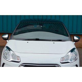 Mirror Covers (2 pcs, Stainless Steel) photo 3