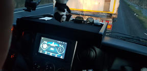 Iveco Daily 2006-2014 Dashboard Shelf (Type-1) photo 7