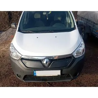 Winter grille (2013-2017)