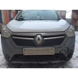 Winter grille matte (2013-2017) photo 3