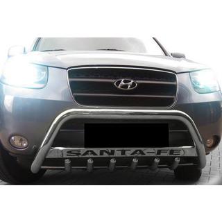 Bull Bar WT004 (Stainless Steel) photo 3