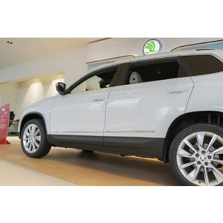 Stainless Steel Door Moldings photo 1