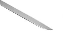 Ford Focus III 2011-2017 Trunk Trim 2011-2014 (Hatchback, Stainless Steel) photo 4