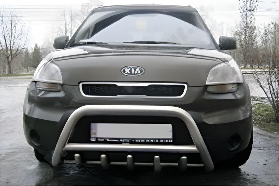 Kia Soul I 2008-2013 Bull Bar (Stainless Steel) Photo 2