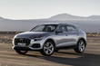 A review of the premium crossover Audi Q8 photo 6