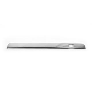 Chrome trim above license plate (for camera, stainless steel) photo 1