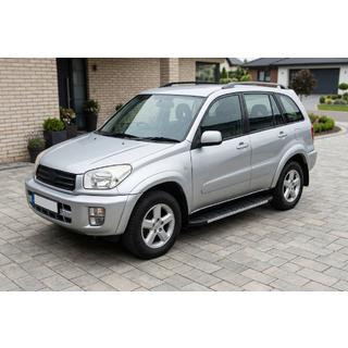 Side Steps Duru (2 pcs, Aluminum) Toyota Rav 4 2001-2005 photo 1