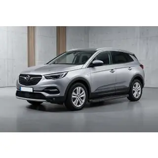 Side Steps Tayga Black (2 pcs, Aluminum) photo 1