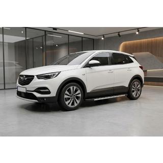 Side Steps Duru (2 pcs, Aluminum) Opel Grandland X 2017- photo 1
