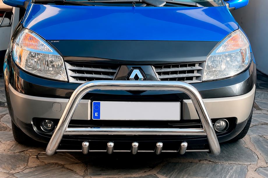 Renault Scenic/Grand 2003-2009 Bull Bar WT003 (Stainless Steel) Photo 1