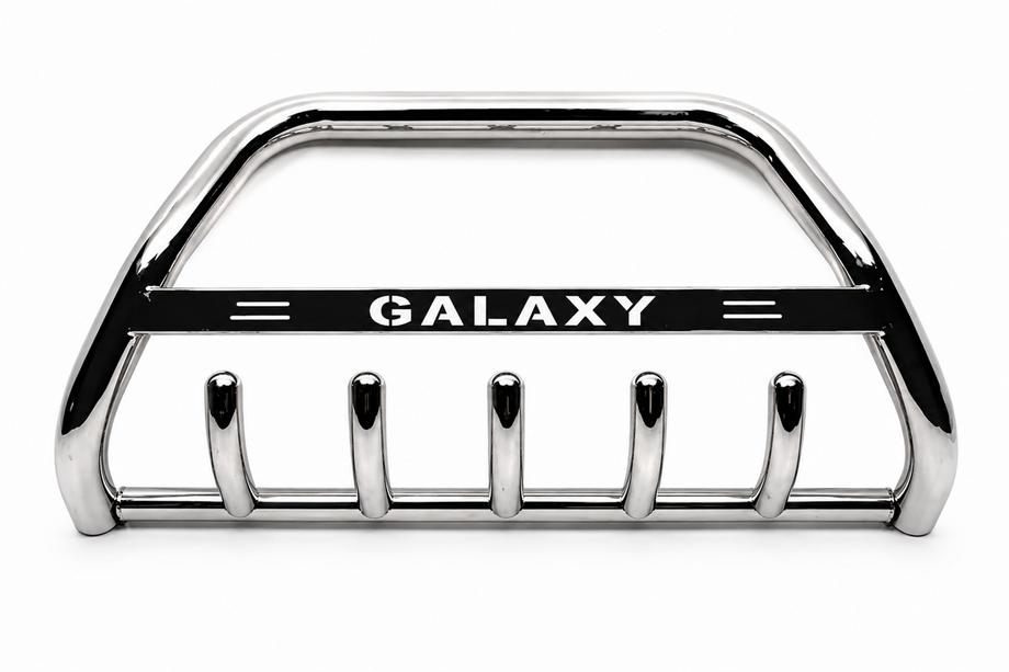 Ford Galaxy 1995-2006 Bull Bar WT004 Stainless Steel Image