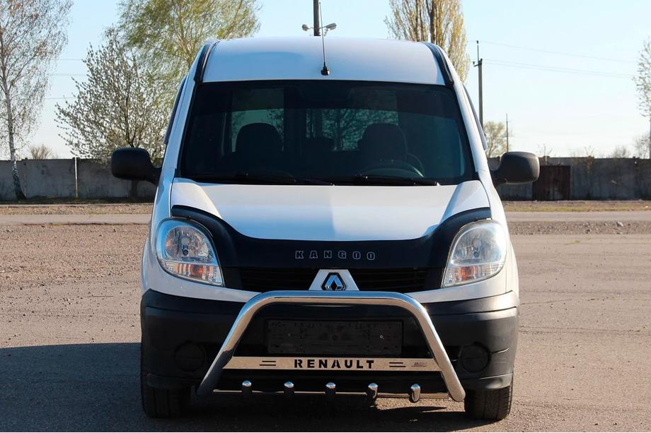 Renault Kangoo 1998-2008 Bull Bar WT004 Stainless Steel Image