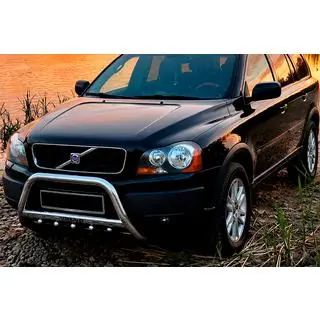 Bull Bar WT004 Stainless Steel